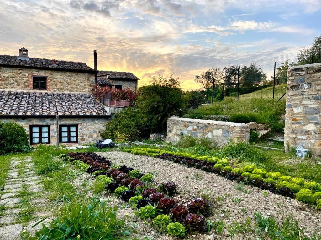 Fattoria Casa Sola Casa de hóspedes Barberino di Val dʼElsa Exterior foto